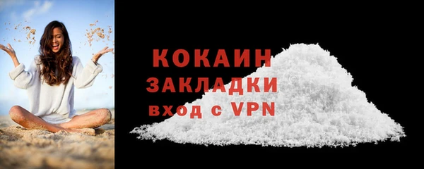 прущие грибы Балабаново