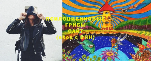 прущие грибы Балабаново
