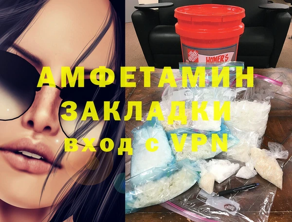 прущие грибы Балабаново