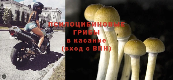 прущие грибы Балабаново