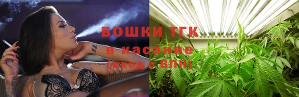 прущие грибы Балабаново